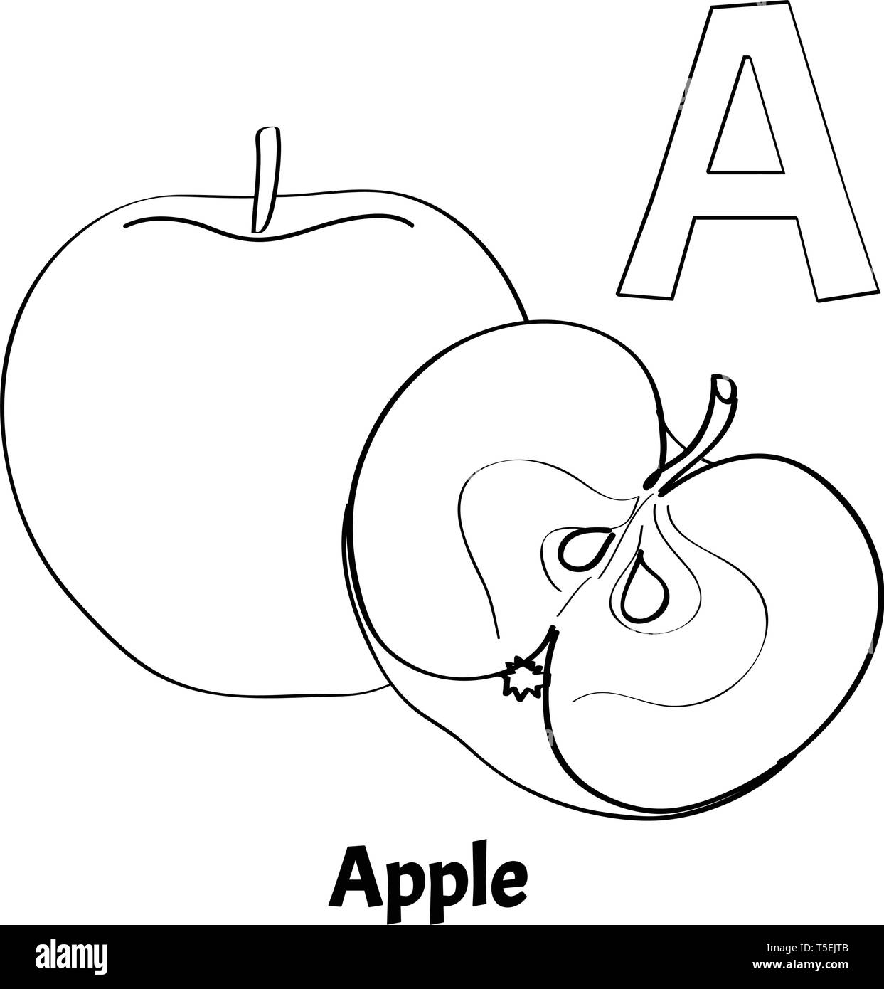 Vector alphabet letter a coloring page apple stock vector image art