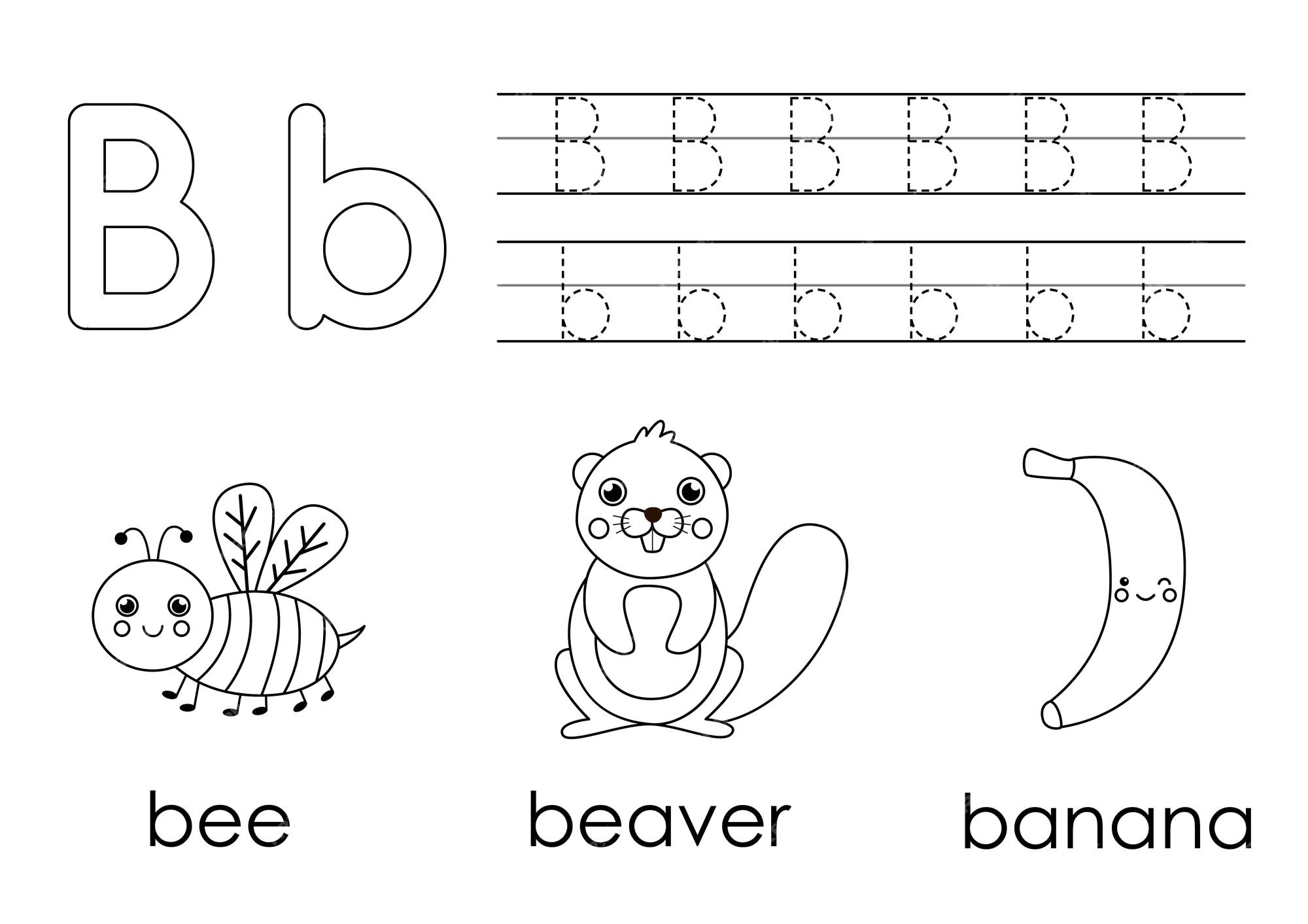 Premium vector learning english alphabet for kids letter b coloring book
