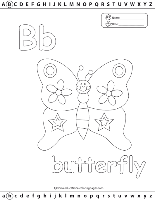 Bbutterfly