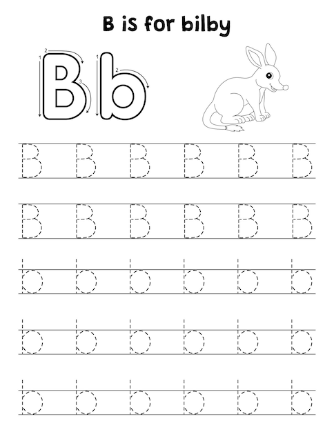 Premium vector bilby animal tracing letter abc coloring page b