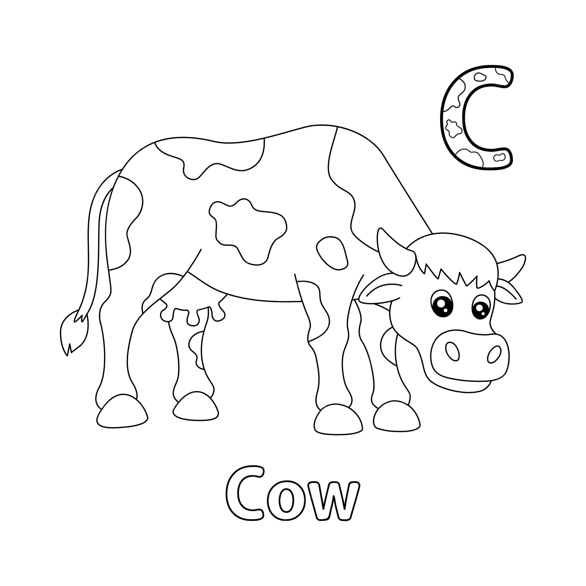 Premium vector cow alphabet abc coloring page c