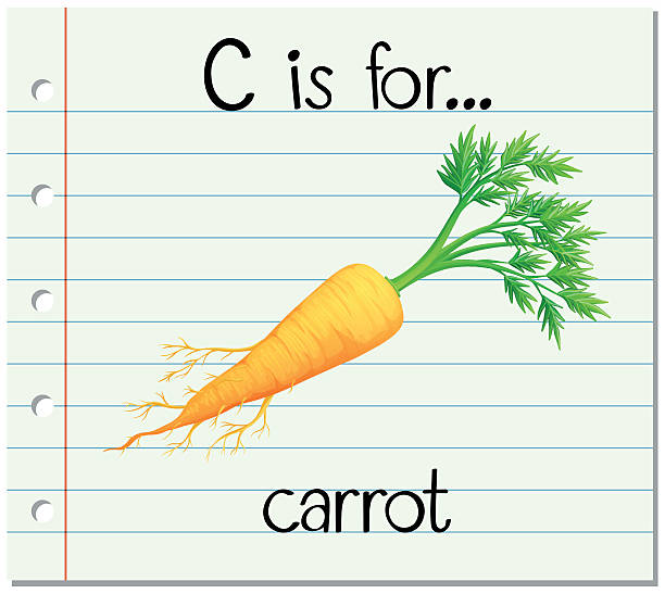 Flashcard letter c is for carrot stock illustrations royalty