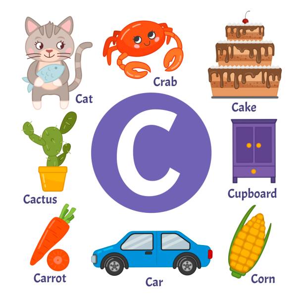 Flashcard letter c is for carrot stock illustrations royalty