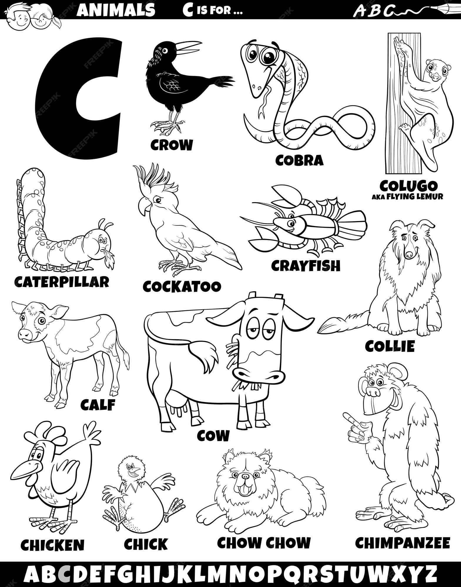 Premium vector cartoon illustration of animal characters set for letter c coloring page