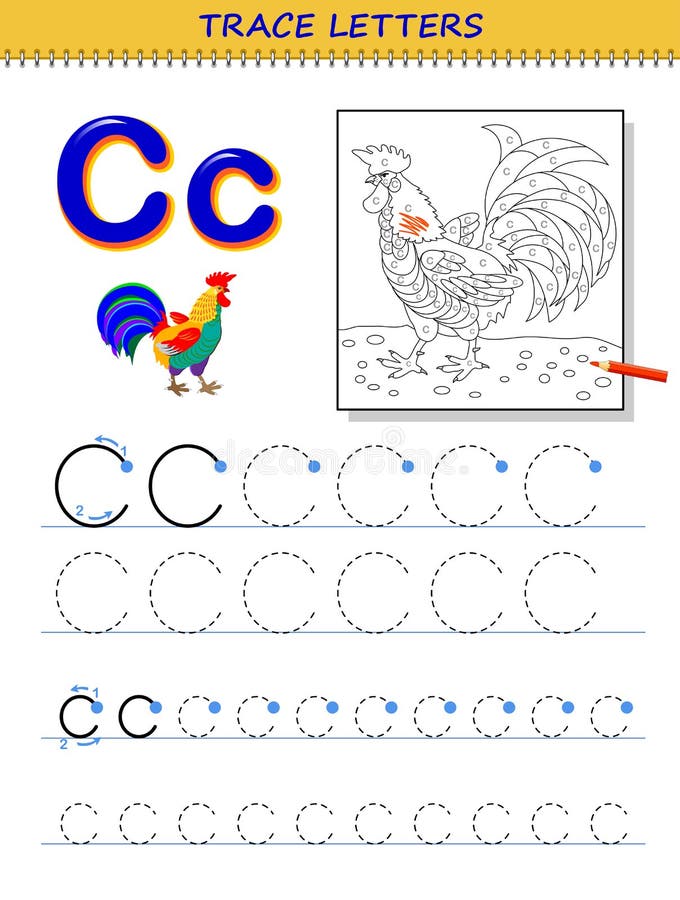 Tracing letter c for study alphabet printable worksheet for kids education page for coloring book stock vector