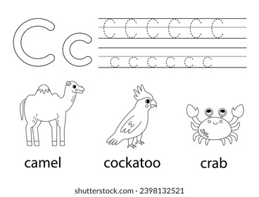 Trace letter c images stock photos d objects vectors