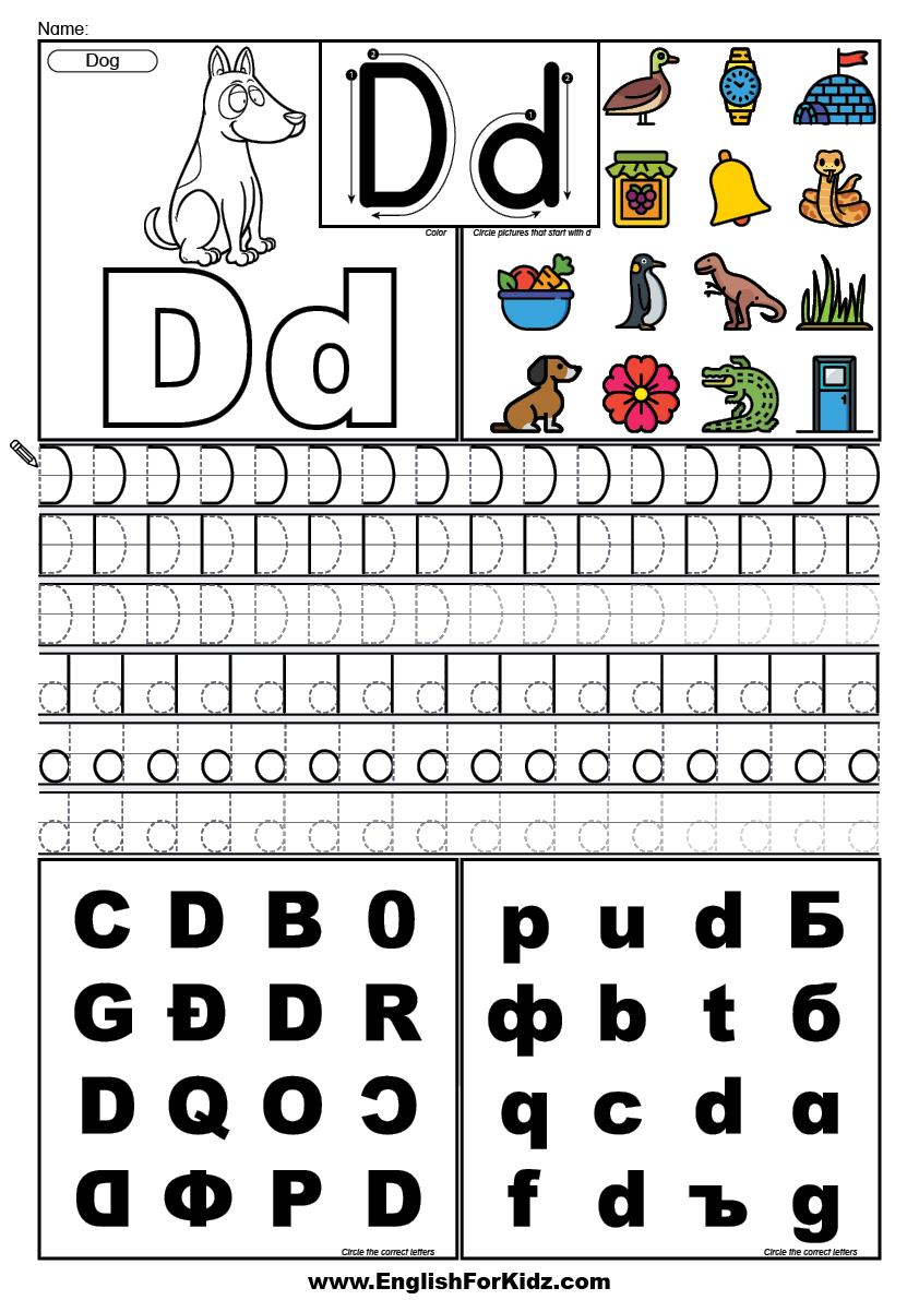 English for kids step by step letter d worksheets flash cards coloring pages