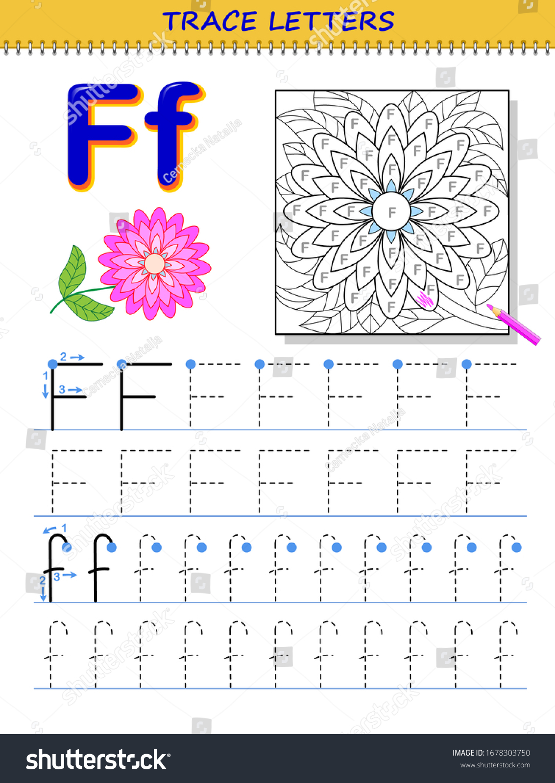 Tracing letter f study alphabet printable stock vector royalty free