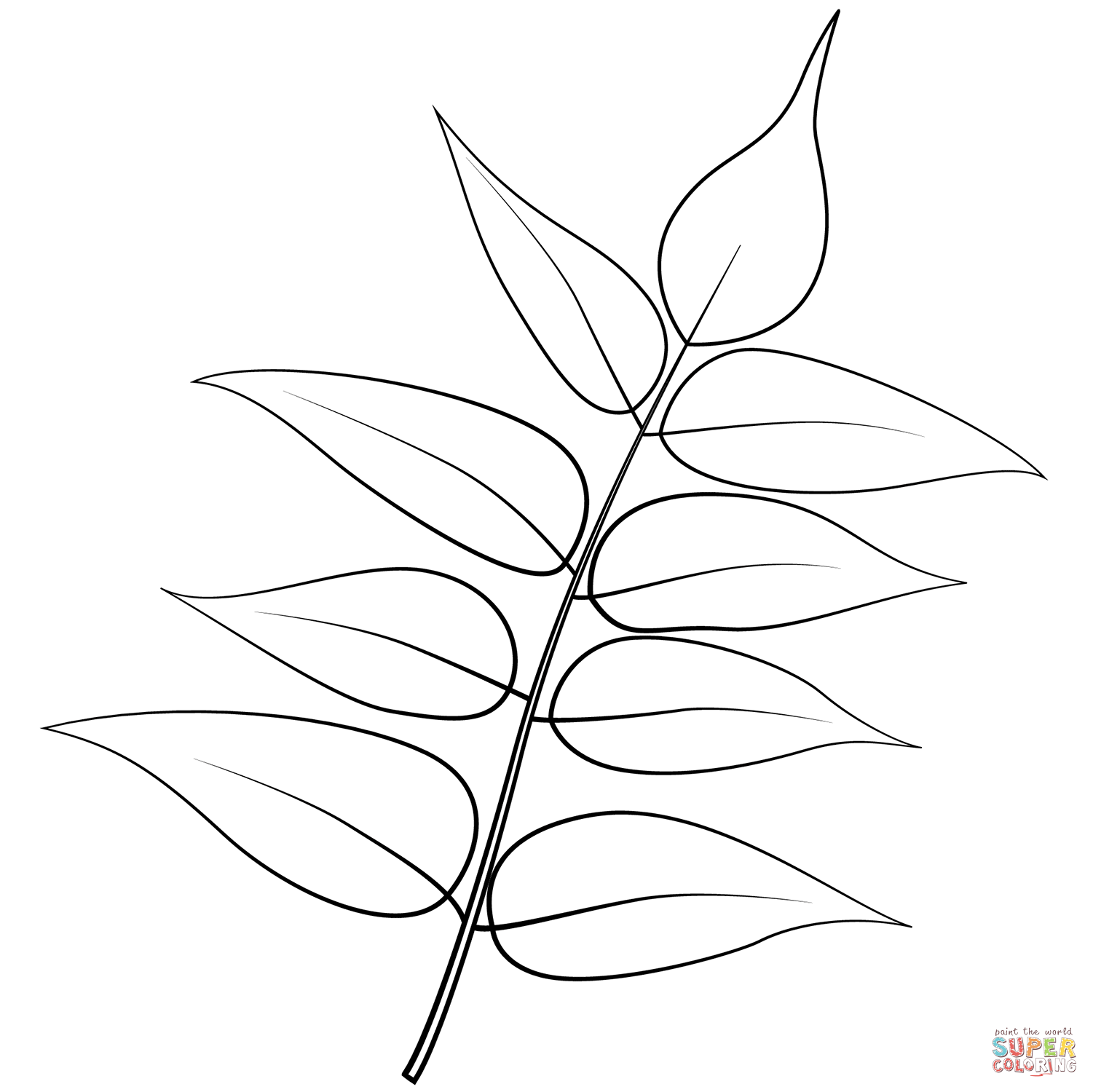 Tree of heaven leaf coloring page free printable coloring pages