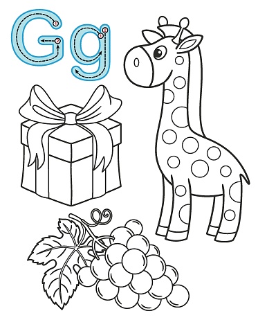 Letter g gift grapes giraffe vector coloring book alphabet printable coloring page for kindergarten and preschool stock illustration