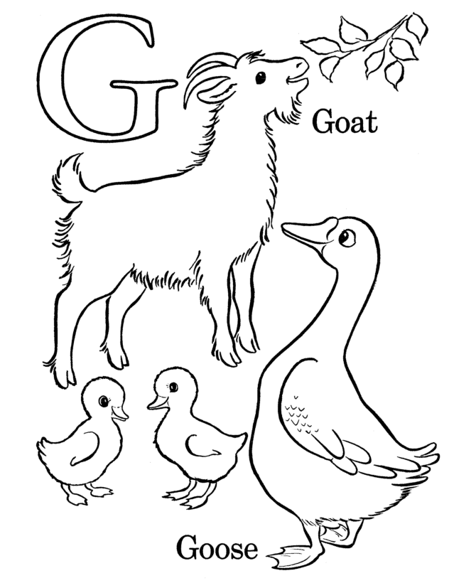 Alphabet coloring pages letter g