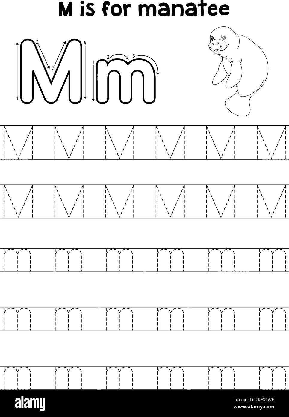 Tracing letter m cut out stock images pictures