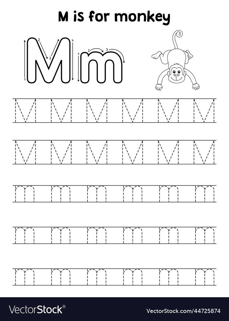 Monkey animal tracing letter abc coloring page m vector image