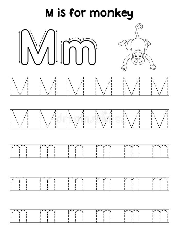 Monkey animal tracing letter abc coloring page m stock vector