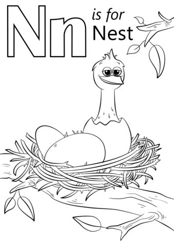 Letter n is for nest coloring page free printable coloring pages alphabet coloring pages abc coloring pages preschool coloring pages