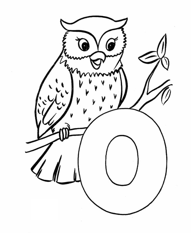 Owl shape