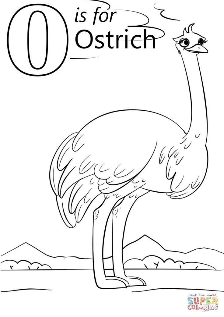 Letter o is for ostrich coloring page free printable coloring pages alphabet coloring pages preschool coloring pages abc coloring pages