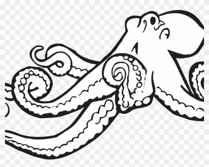 Free alphabet o is for octopus coloring page free printable