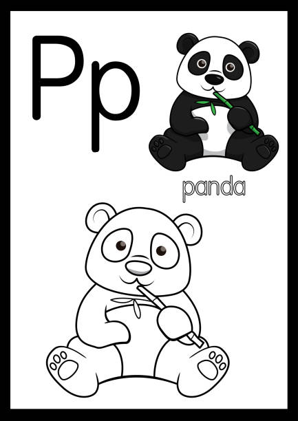 Vector illustration of cute panda with alphabet p for children learning practice abc on a paper size ready to print stock illustration