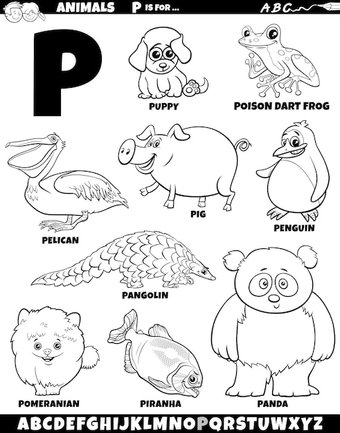 Premium vector cartoon illustration of animal characters set for letter p coloring page