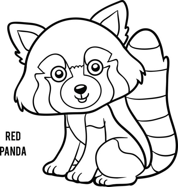 Bamboo panda coloring page stock illustrations royalty