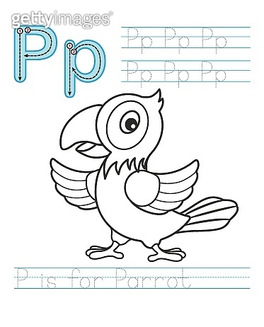 Coloring book page printable worksheet for kindergarten and preschool exercises for study english vector coloring book alphabet siple level of difficulty letter p parrot