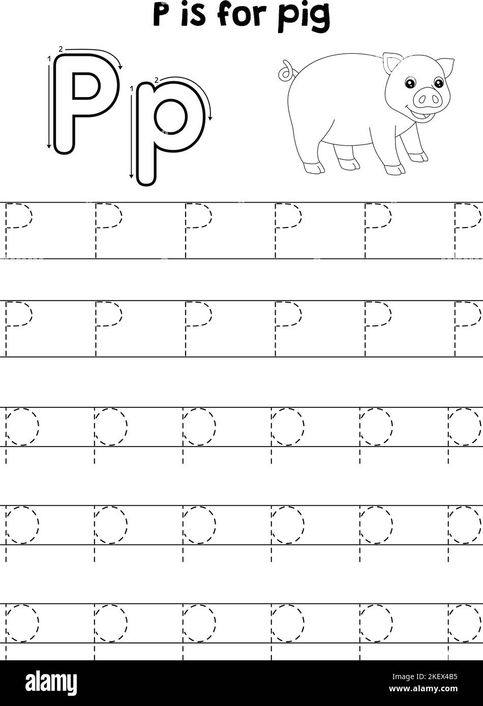 Tracing letter p cut out stock images pictures