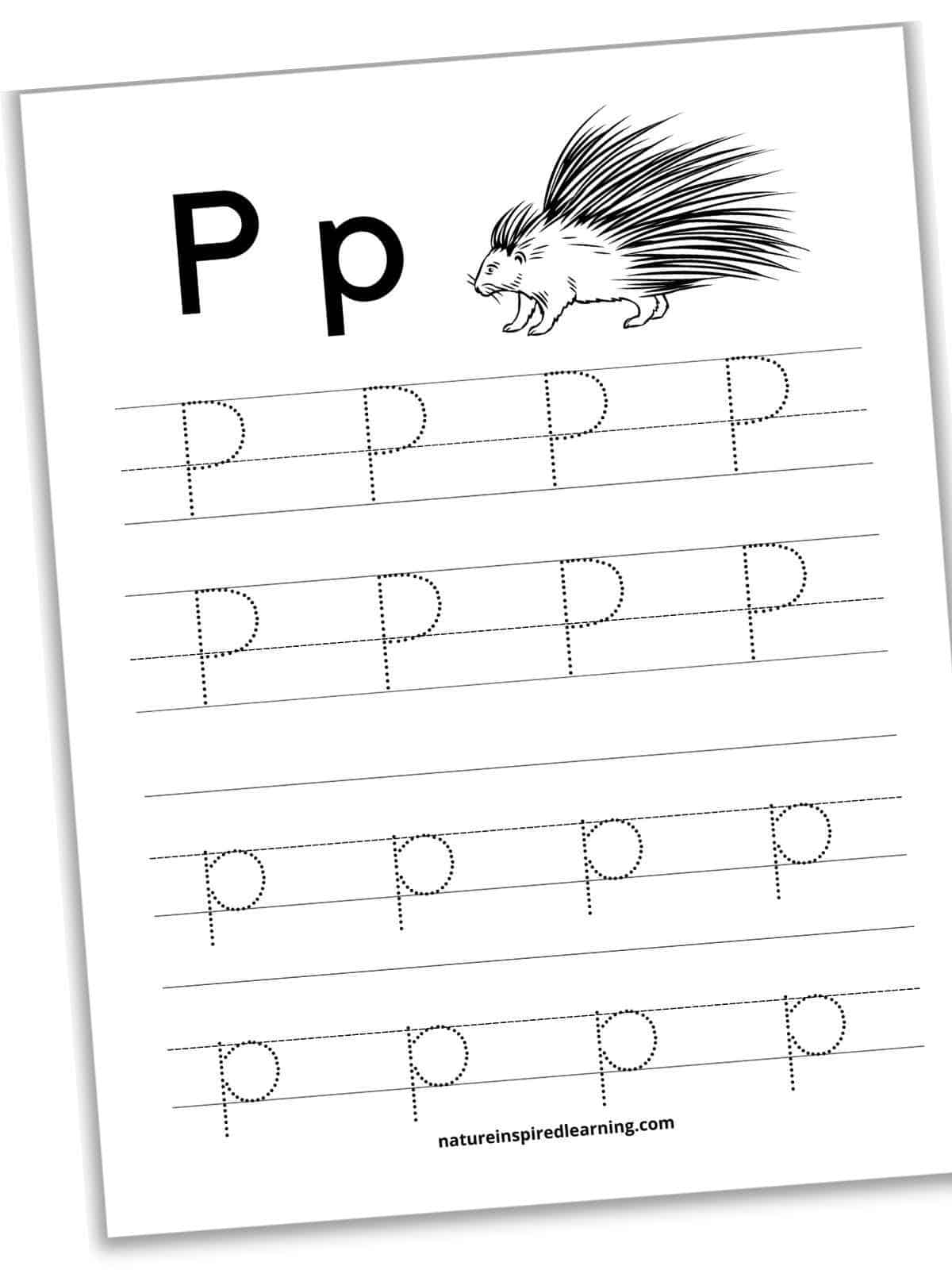 Free letter p tracing worksheets