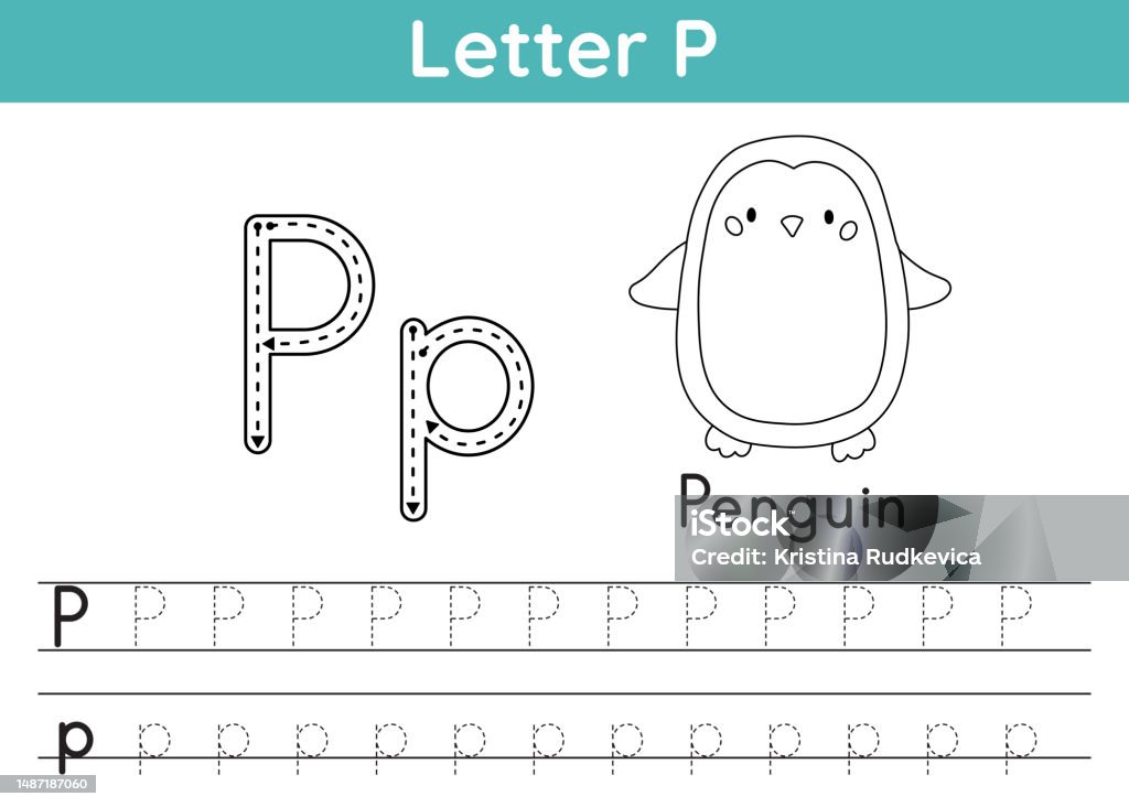 Alphabet abc az exercise coloring page trace letter p vocabulary for coloring book cute cartoon penguin printable activity worksheet for kids educational game vector illustration stock illustration