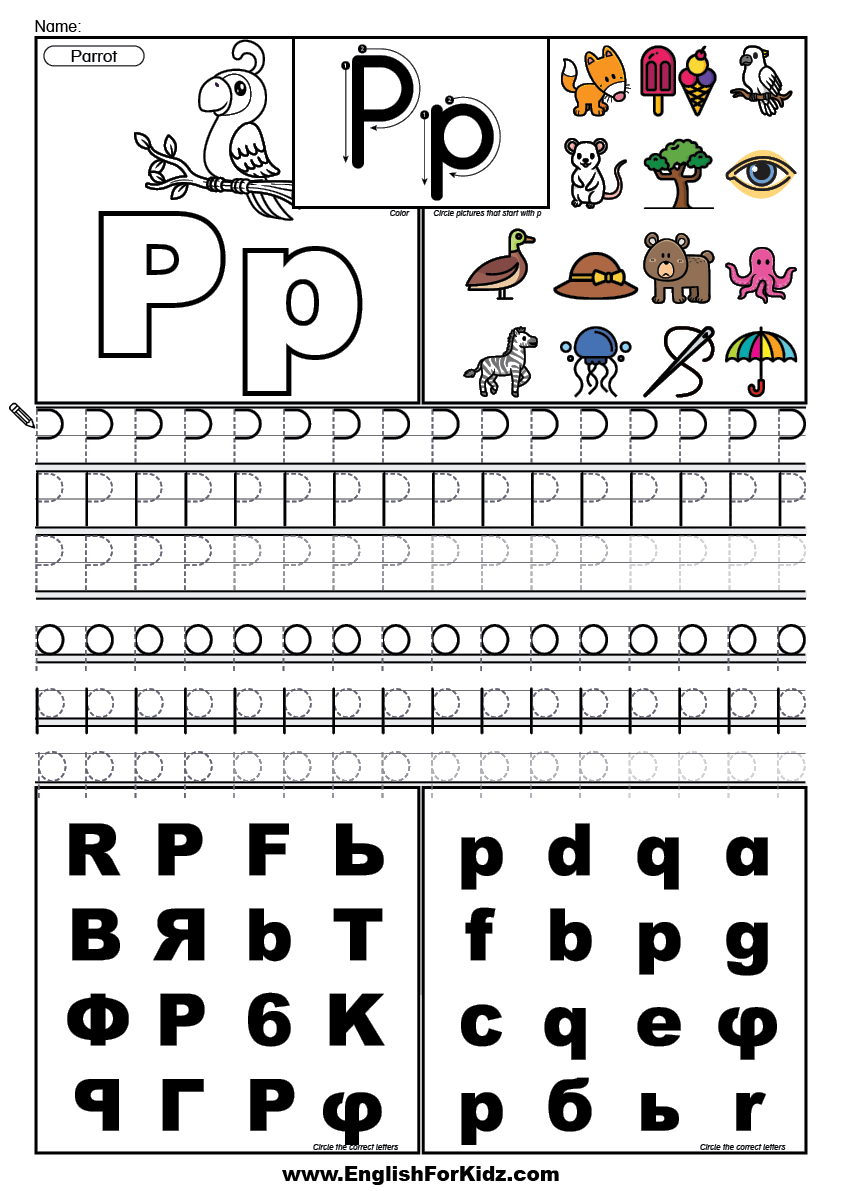 English for kids step by step letter p worksheets flash cards coloring pages