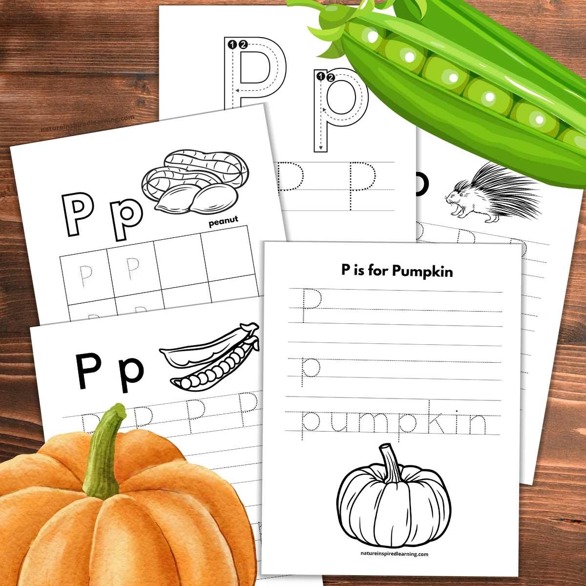 Free letter p tracing worksheets