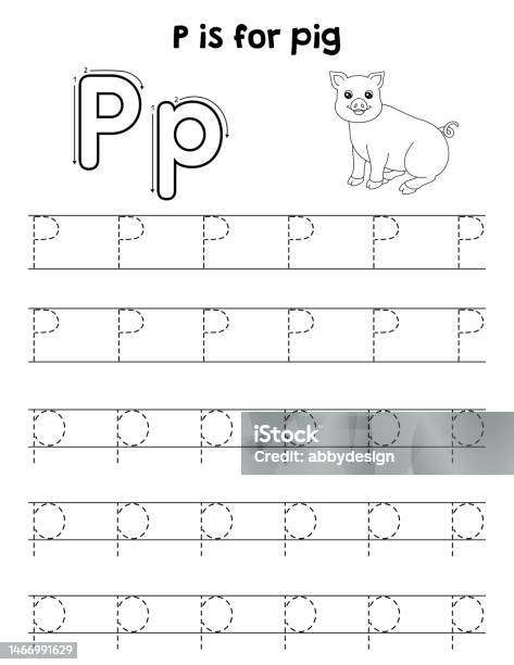 Pig animal tracing letter abc coloring page p stock illustration