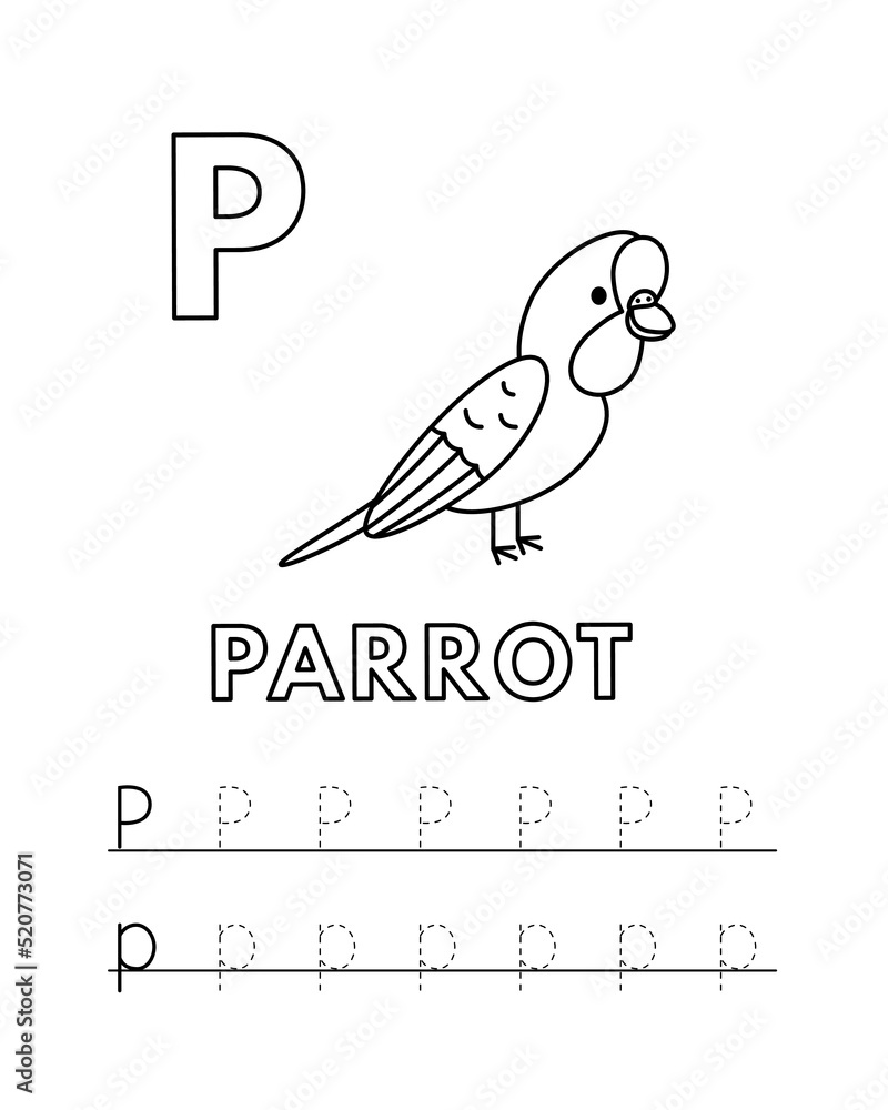 Alphabet with cute cartoon animals isolated on white background coloring pages for children education vector illustration of parrot and tracing practice worksheet letter p vector