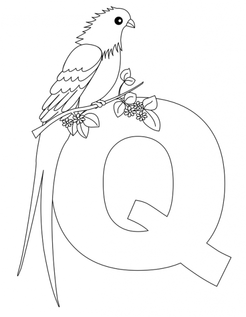 Alphabet coloring pages â q