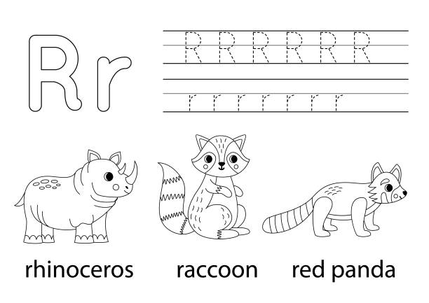 Alphabet r with raccoon stock illustrations royalty