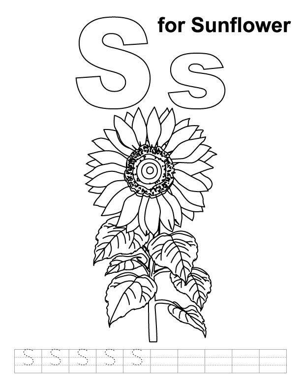 S for sunflower coloring page with handwriting practice download free s for sunflower câ sunflower coloring pages coloring pages kids printable coloring pages