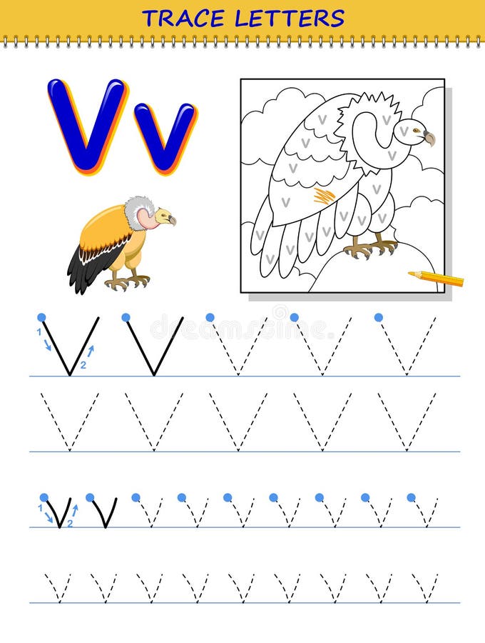 Tracing letter v for study alphabet printable worksheet for kids education page for coloring book stock vector