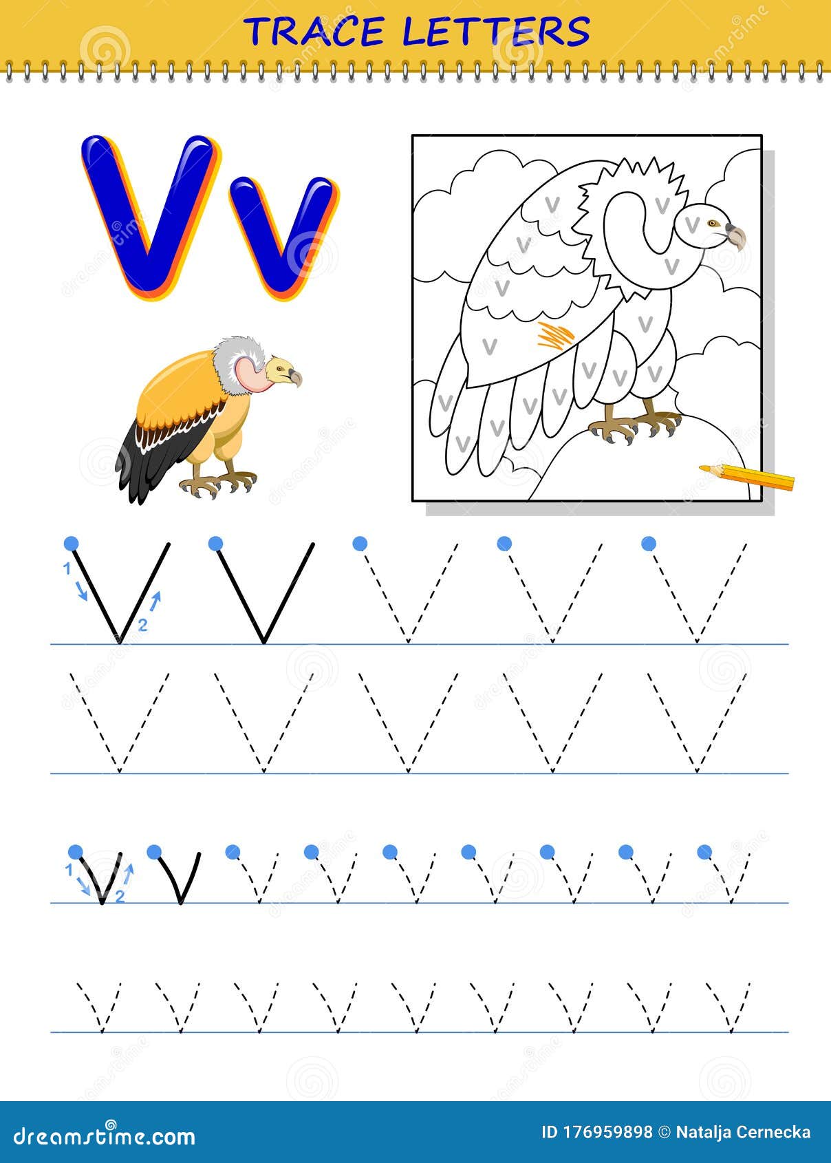 Tracing letter v for study alphabet printable worksheet for kids education page for coloring book stock vector