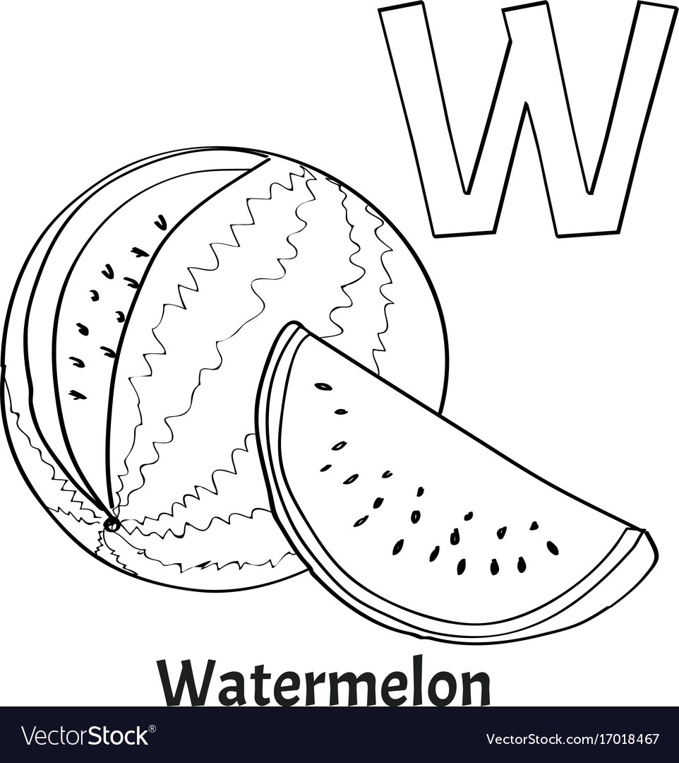 Alphabet letter w coloring page watermelon vector image