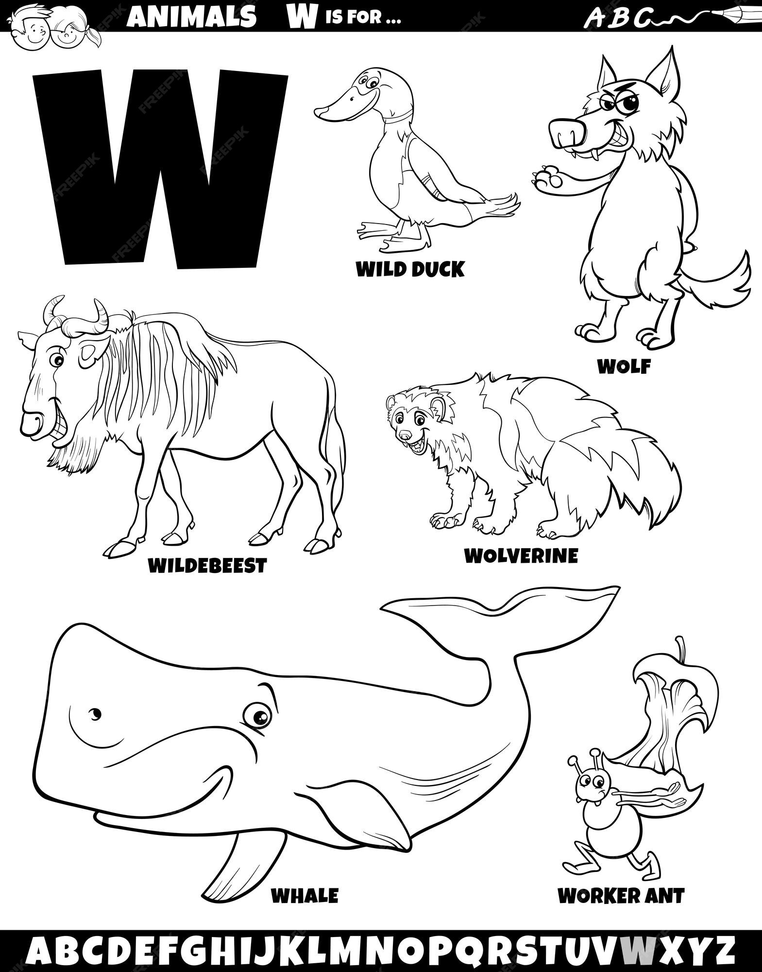 Premium vector cartoon illustration of animal characters set for letter w coloring page
