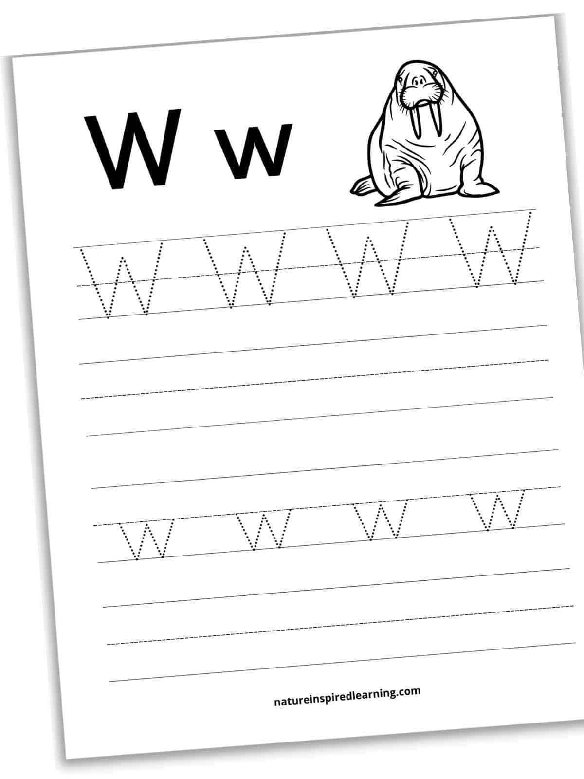 Letter w tracing worksheets