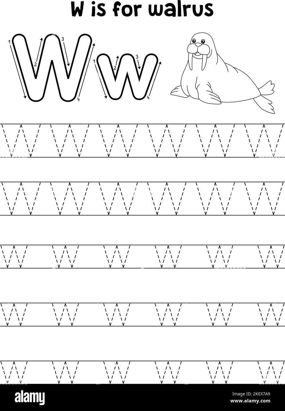 Letter w tracing hi