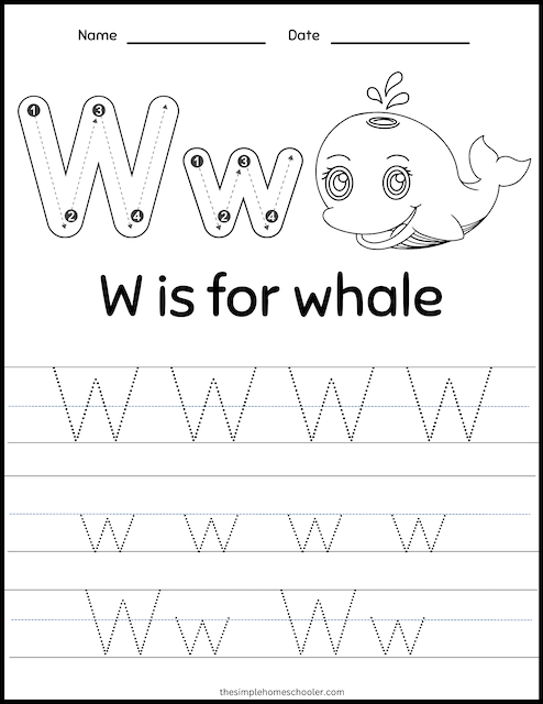 Free letter w worksheets for preschool and kindergarten