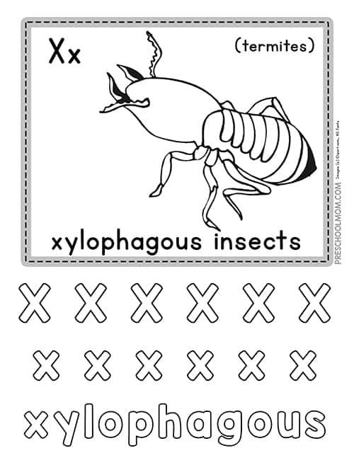 Letter x preschool printables