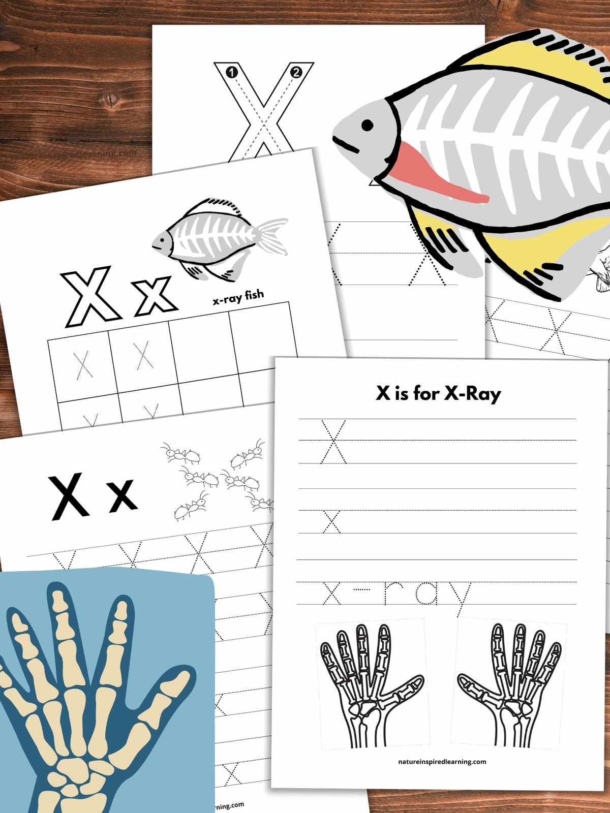 Letter x tracing worksheets