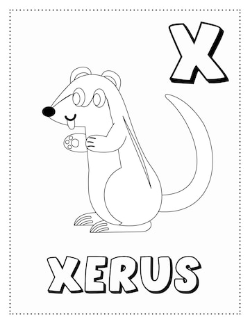 Premium vector letter x is for xerus coloring page coloring book letter animals for kids