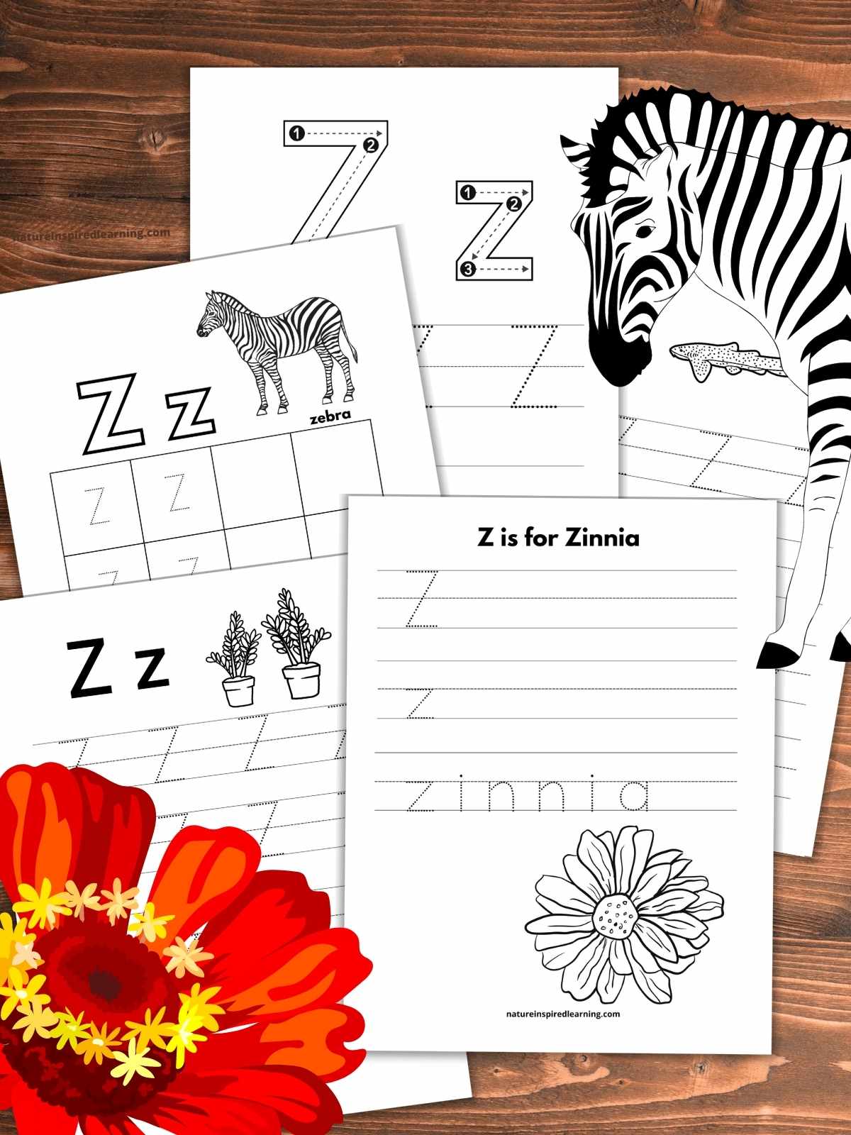 Letter z tracing worksheets