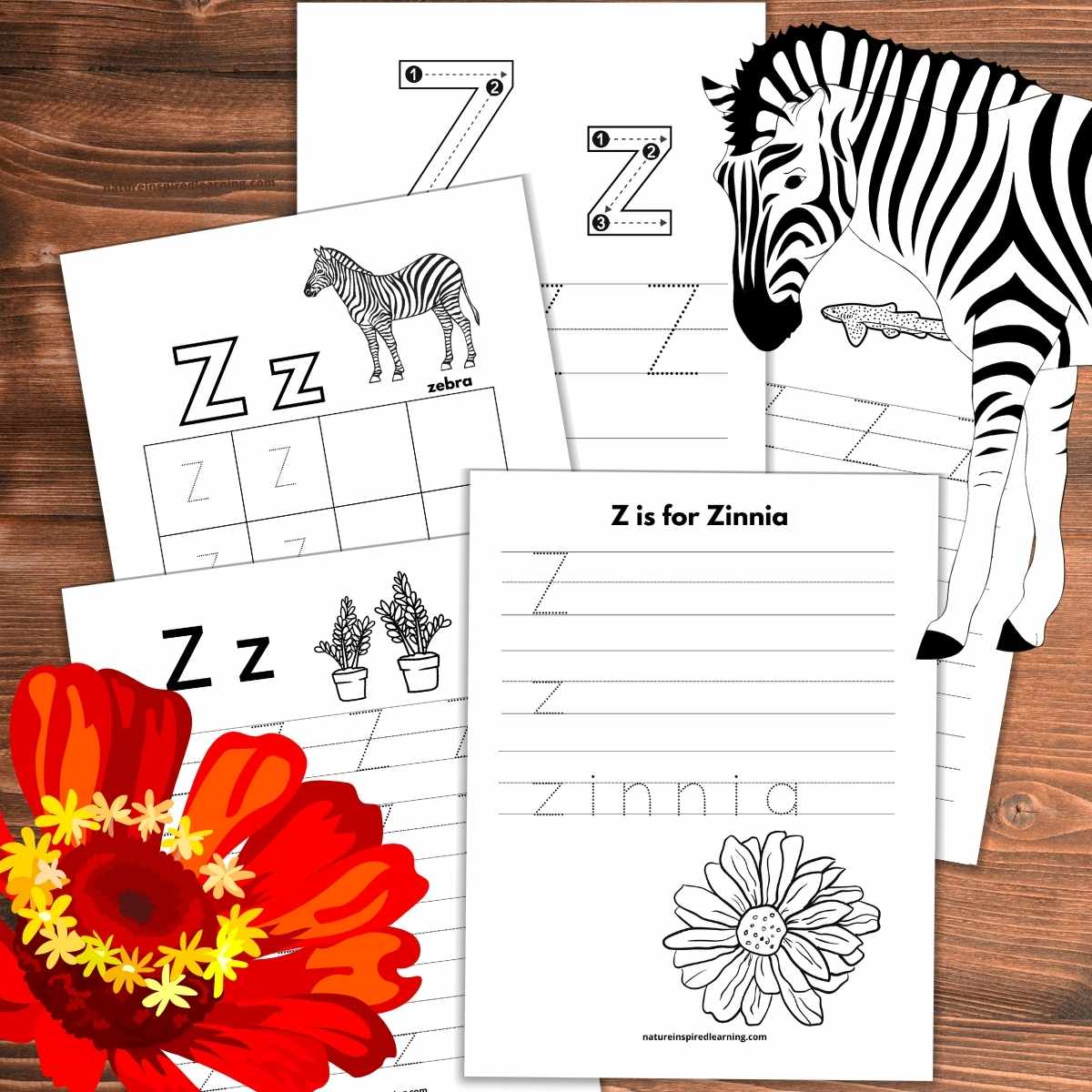 Letter z tracing worksheets