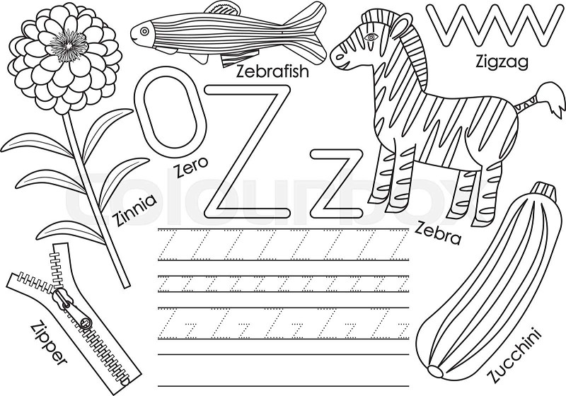 Letter z education for children learning english alphabet with writing practice coloring book vector illustration stock vector