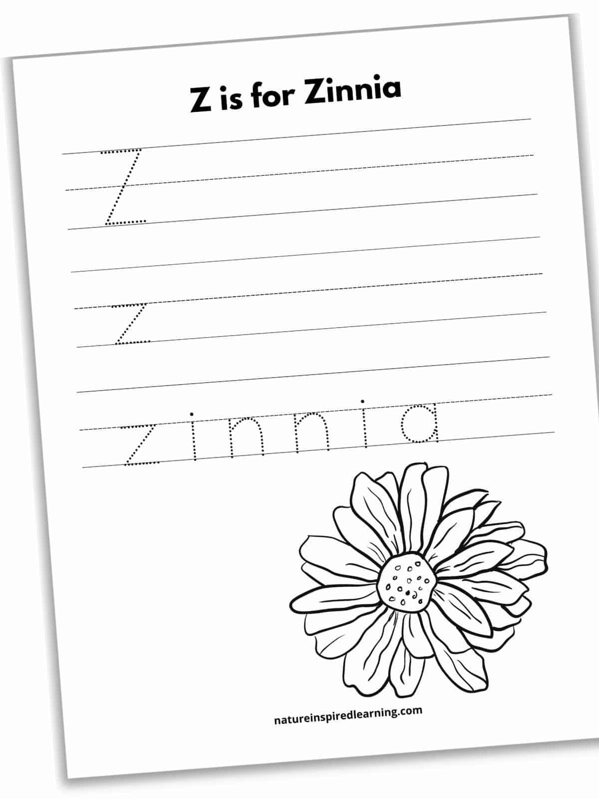 Letter z tracing worksheets